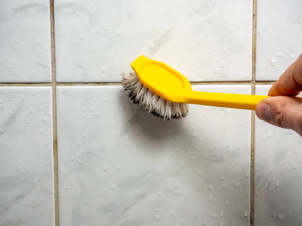  Blackwell, OK Mold Removal Pros