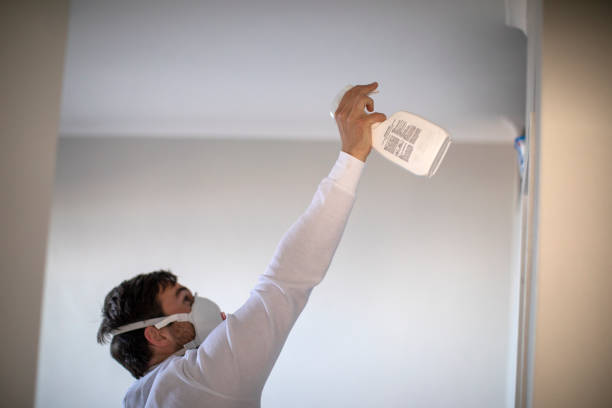 Best Office Mold Removal Services  in Blackwell, OK